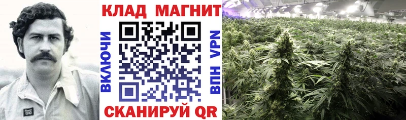 Купить наркотики цена Шагонар Гашиш  Амфетамин  Меф  Каннабис 