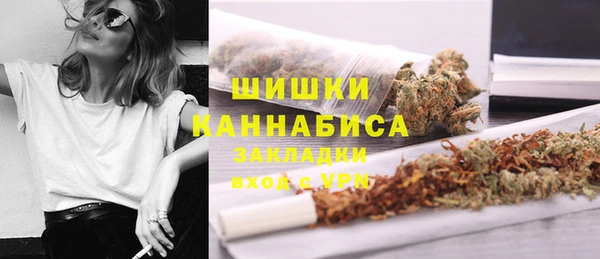винт Дмитриев