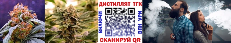 ТГК жижа  Шагонар 