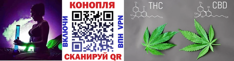 мега онион  Шагонар  Марихуана SATIVA & INDICA 